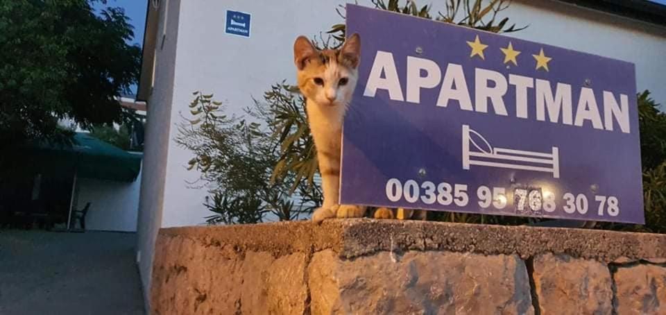 Apartman Zahira Karlobag Kültér fotó